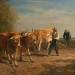 Cattle Ploughing